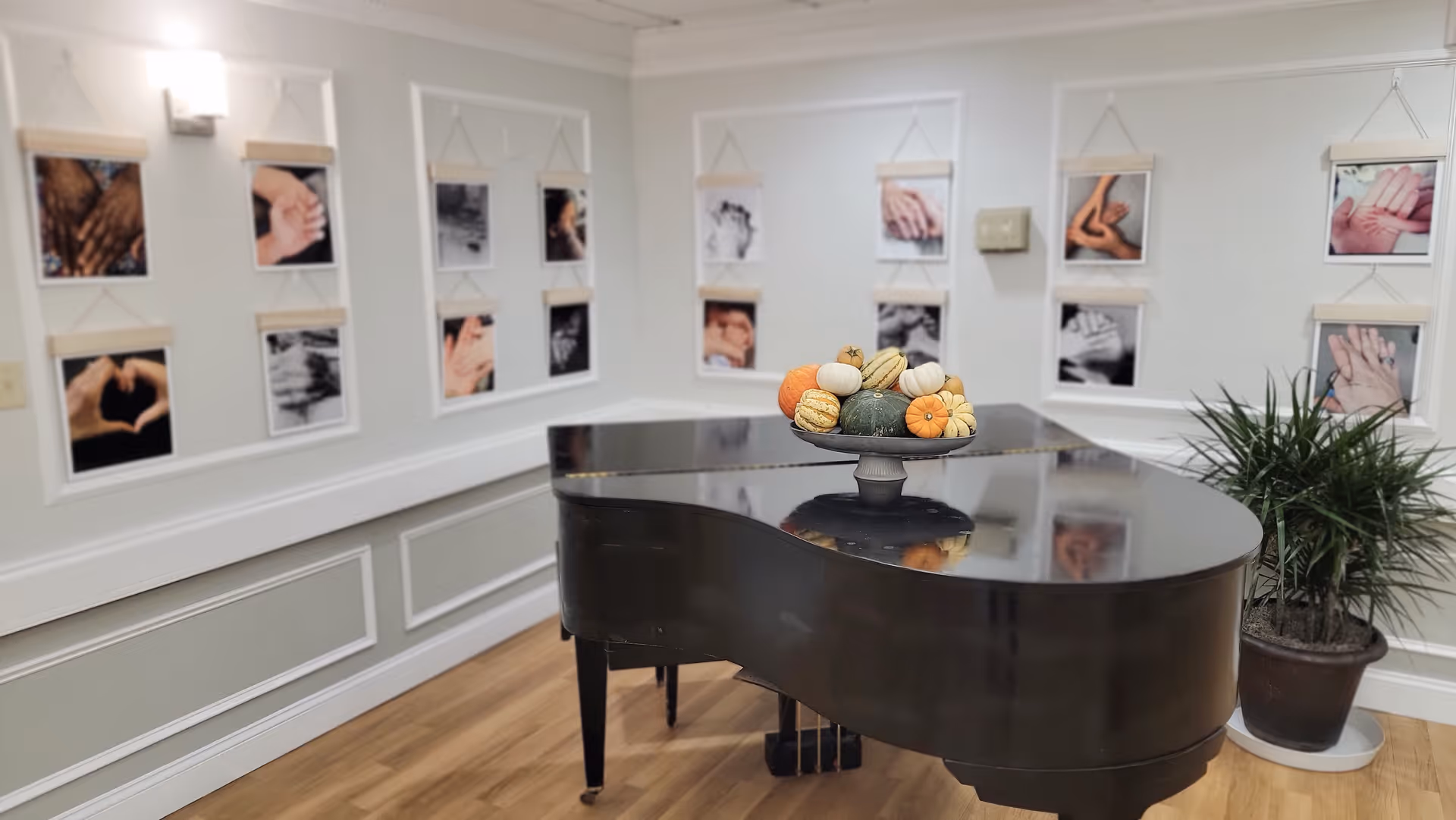 A black grand piano with a decorative bowl of small pumpkins and gourds on top, situated in a room with light-colored walls and wooden flooring. The walls are adorned with framed photographs of hands in various poses and interactions. A potted plant is placed to the right of the piano.