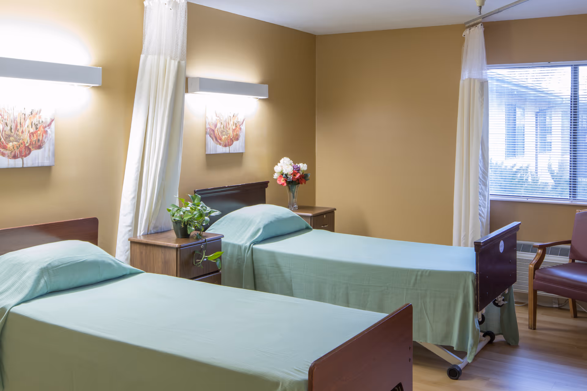 Shared senior care bedroom with two twin beds dressed in green sheets, nightstands, plants and a window.