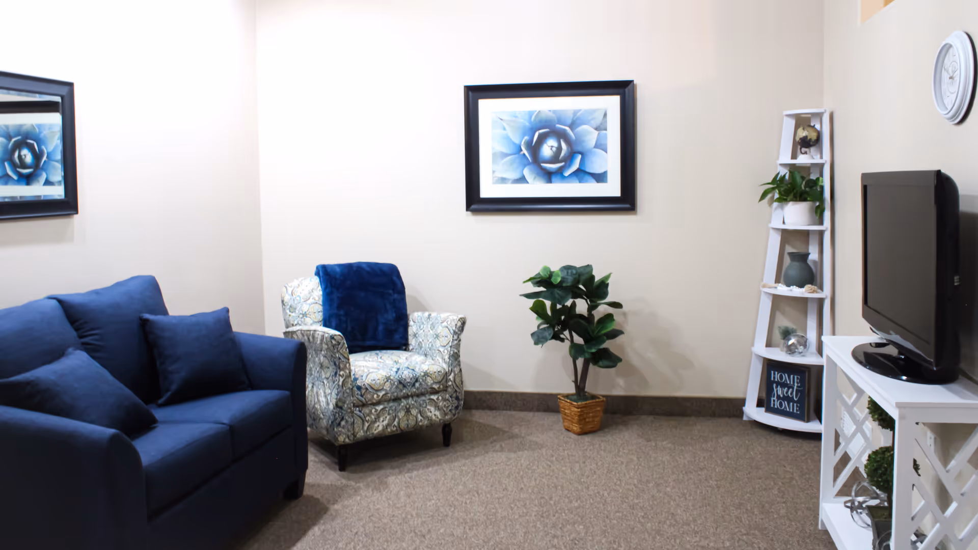 A cozy living room with a blue sofa, patterned armchair, potted plant, TV on a white stand, and framed blue floral artwork on the wall.