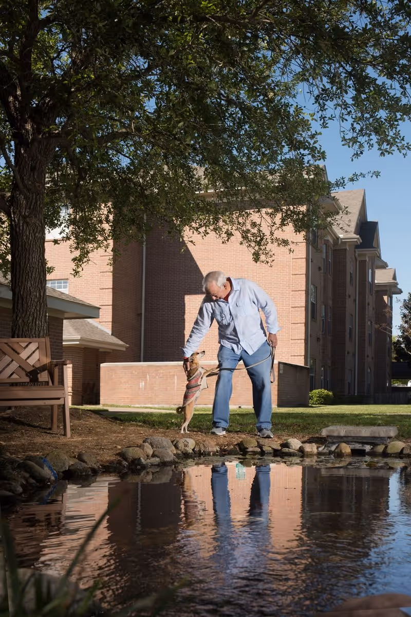 An elderly man wearing a light blue shirt and jeans is standing near a small pond outside a brick building. He is bending down to pet a small dog wearing a sweater. There is a wooden bench and a large tree nearby, with the building and clear blue sky in the background.