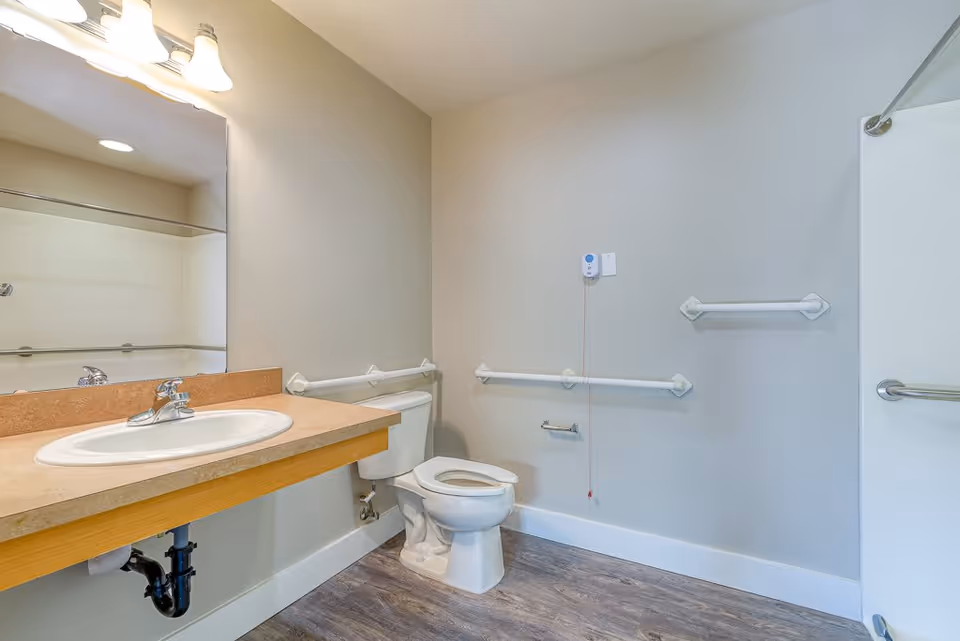 A clean and accessible bathroom with a sink and countertop on the left, a toilet with grab bars on the walls around it, a large mirror above the sink, and a pull cord emergency alert system on the wall. The floor has wood-like vinyl flooring.