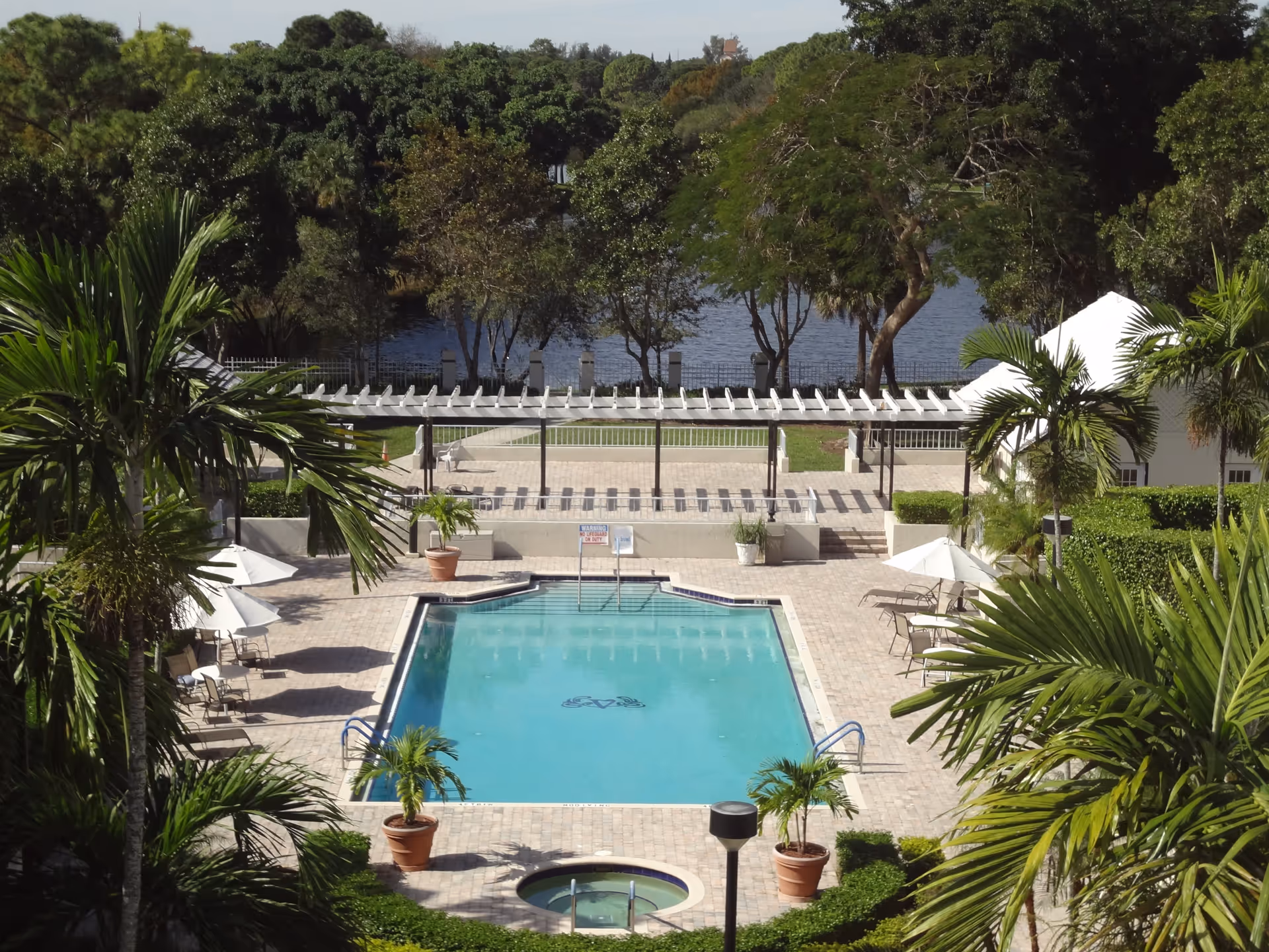Outdoor swimming pool area surrounded by palm trees and lounge chairs with umbrellas, a small hot tub in the foreground, and a lake with trees in the background.