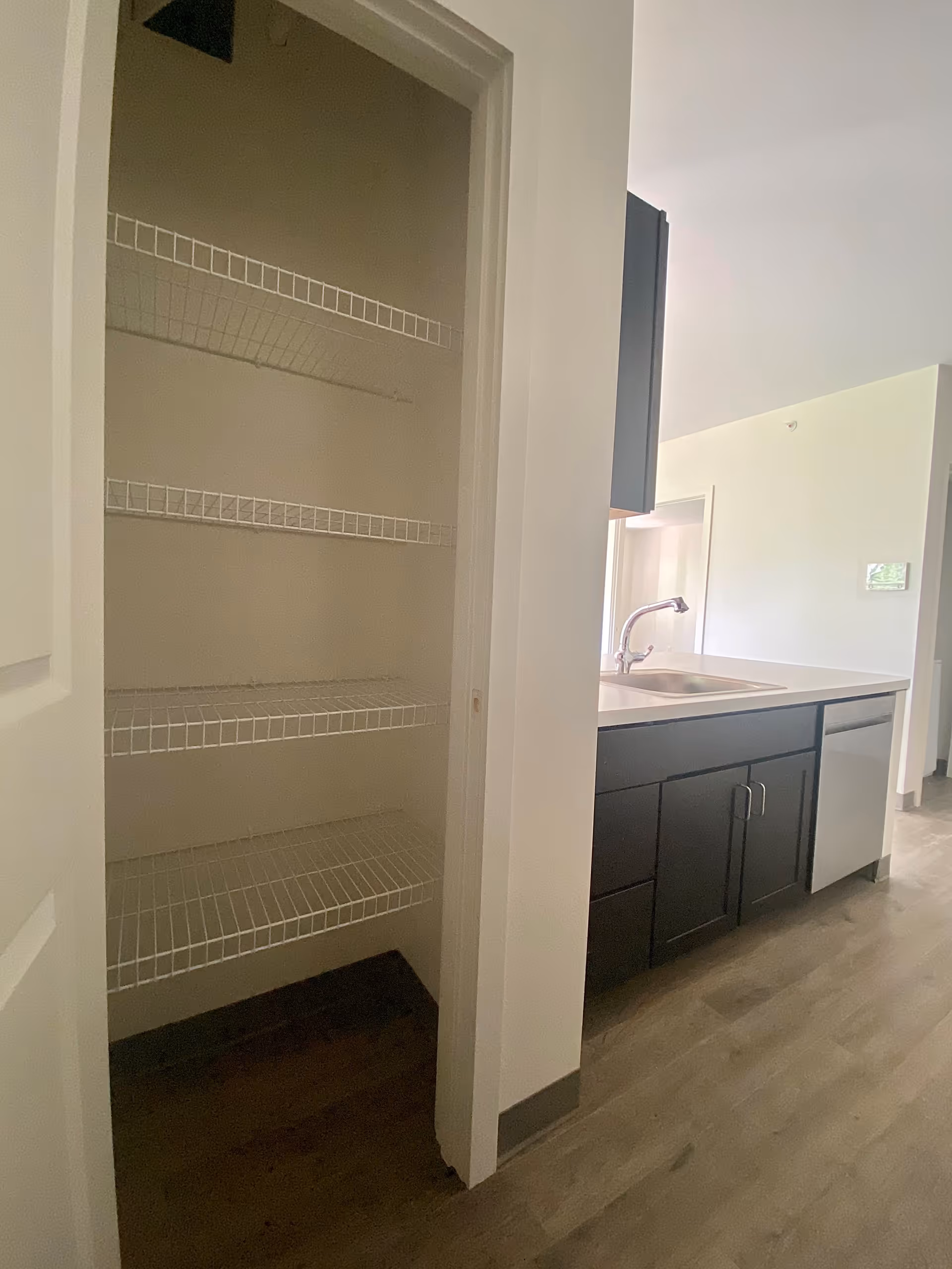 Open pantry with wire shelves next to a kitchen counter with sink, dark cabinets, and dishwasher.