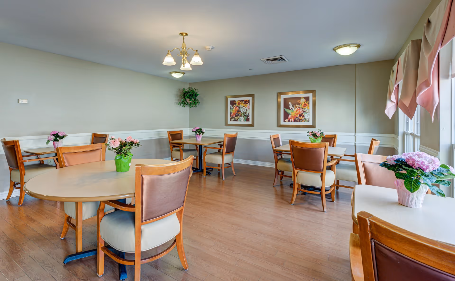 A dining room with several round and square tables, each surrounded by wooden chairs with cushioned seats and backs. Each table has a small potted plant with pink flowers. The room has light-colored walls with white wainscoting, two framed floral paintings on one wall, wood flooring, and windows with pink and beige valances letting in natural light. Ceiling lights and a chandelier provide additional lighting.