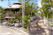 Wooden boardwalk surrounded by palm trees and tropical plants leading to a gazebo beside a pond.