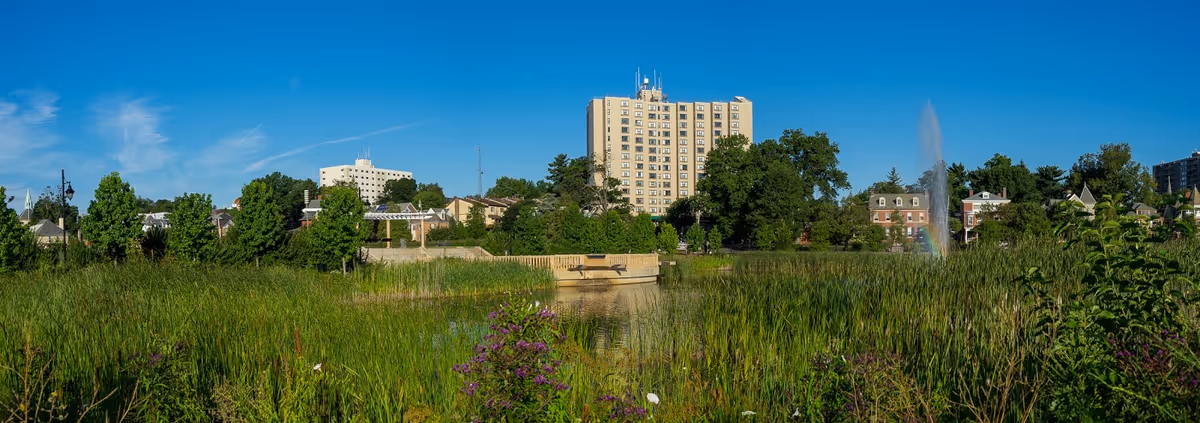 A panoramic outdoor view of a pond surrounded by tall grass and plants with a fountain spraying water on the right side. In the background, there are several buildings including a tall beige apartment building, smaller houses, and trees under a clear blue sky.