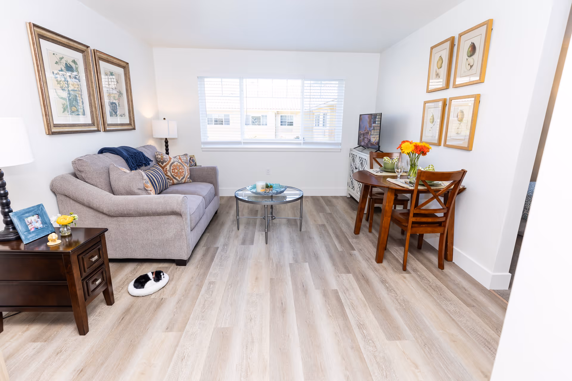 A bright living room with light wood flooring, a gray sofa with patterned cushions, a round glass coffee table, and a small wooden dining table with two chairs. The walls are white with framed botanical prints, and a window with blinds lets in natural light. A small black and white cat is curled up on a white cushion on the floor near a dark wooden side table with a lamp and photo frame.