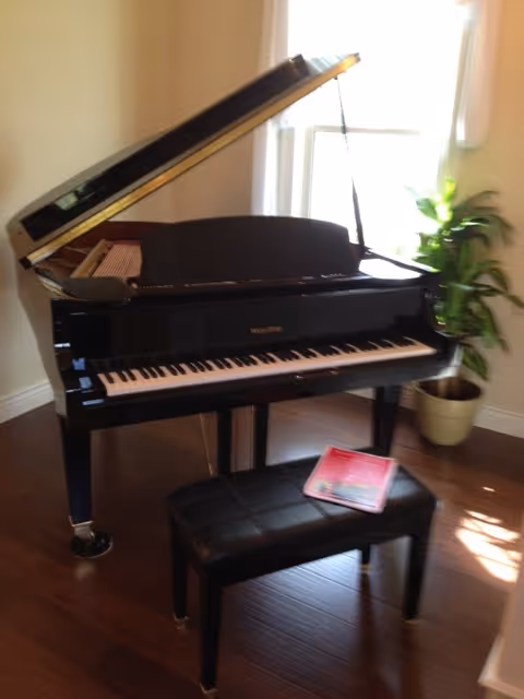 Black grand piano with a bench on hardwood floors beside a potted plant by a sunlit window.