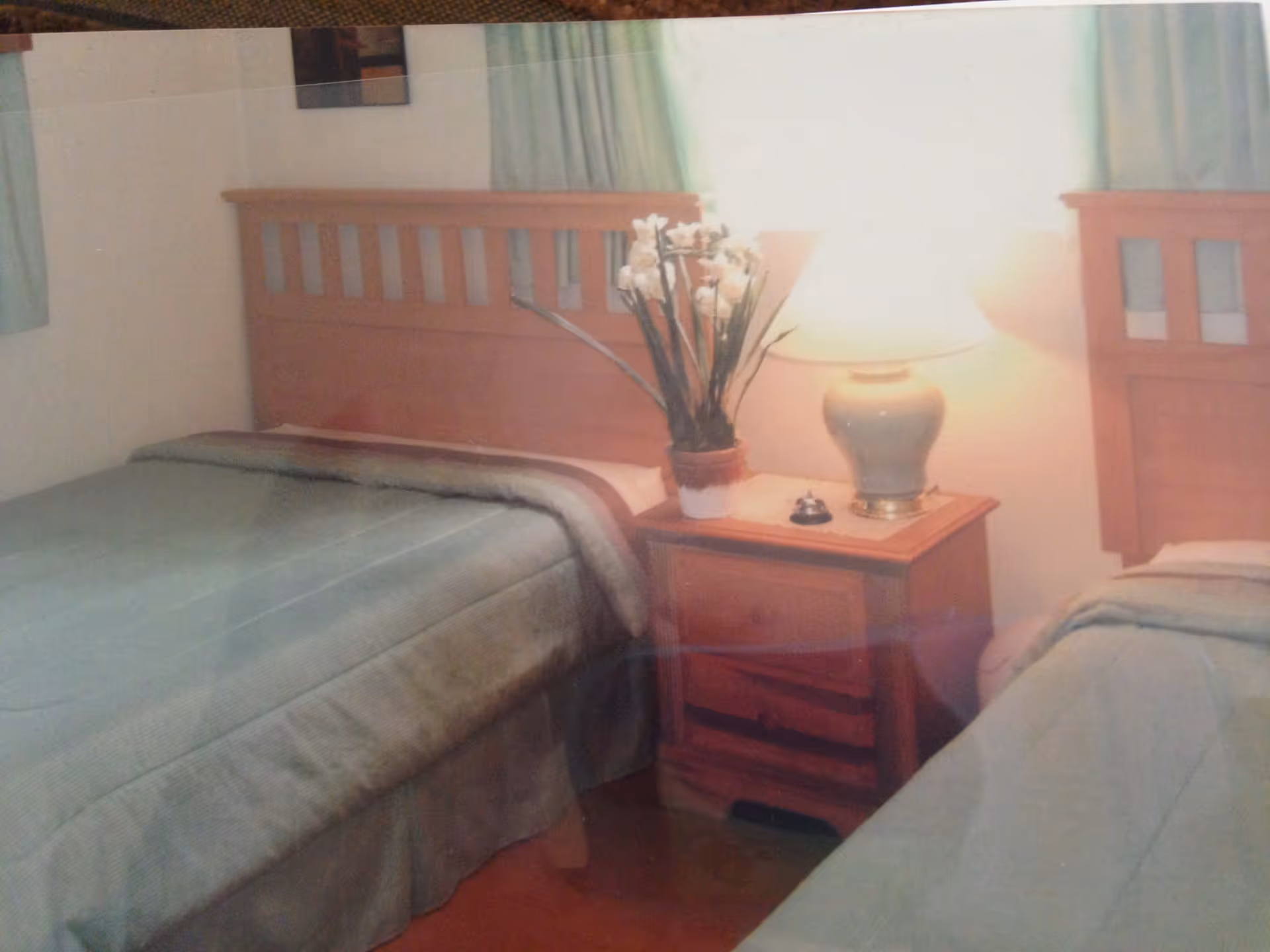 A bedroom with two single beds separated by a wooden nightstand. The nightstand has a potted plant with white flowers, a lamp, and a small bell. Light green curtains are partially visible behind the beds.