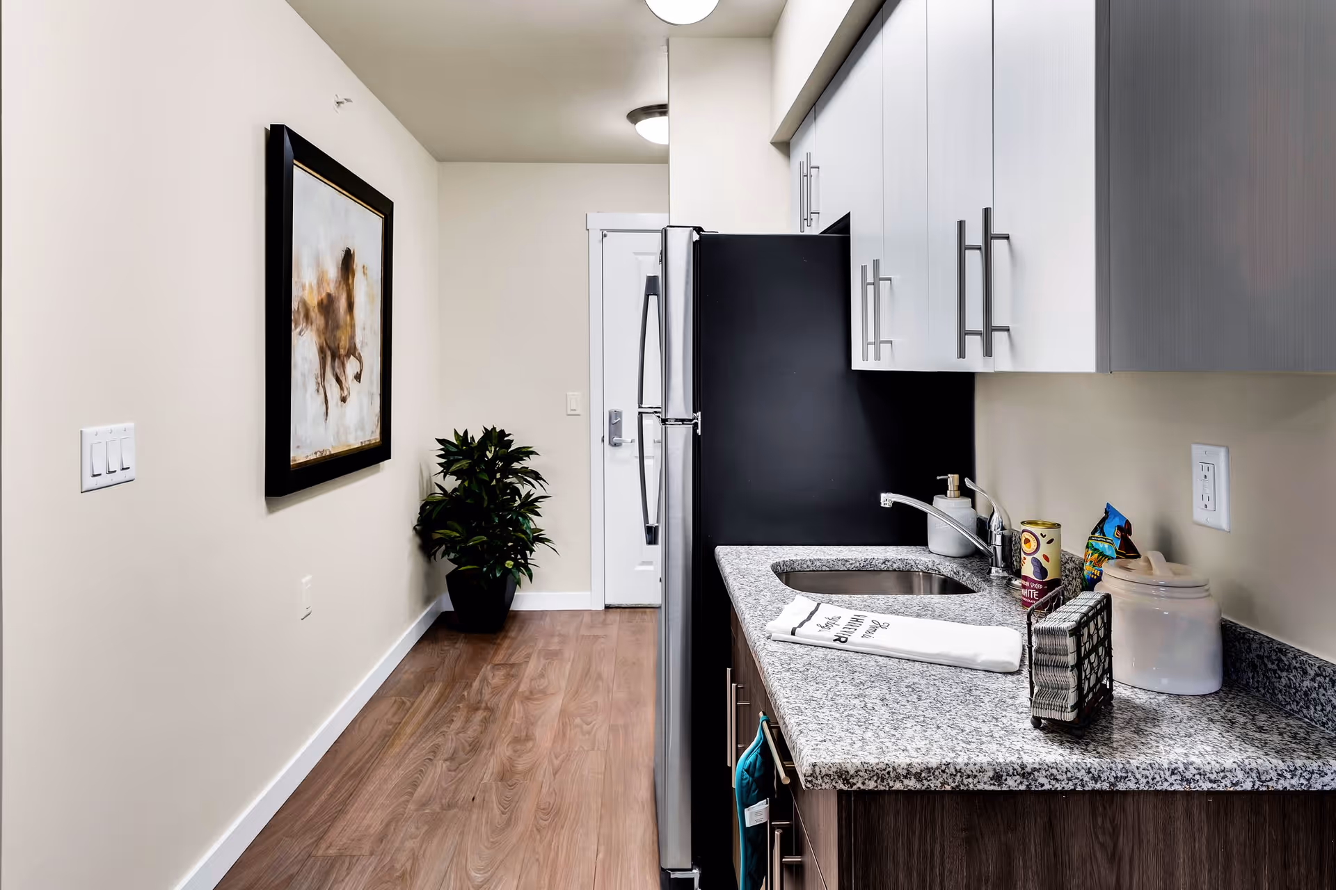 A modern kitchen area with a granite countertop, stainless steel sink, and white upper cabinets with silver handles. On the countertop are a soap dispenser, a canister, a small basket, and some packaged snacks. To the left is a stainless steel refrigerator. The floor is wood, and on the left wall hangs a framed painting of a horse above a potted plant. A white door is visible at the end of the hallway.