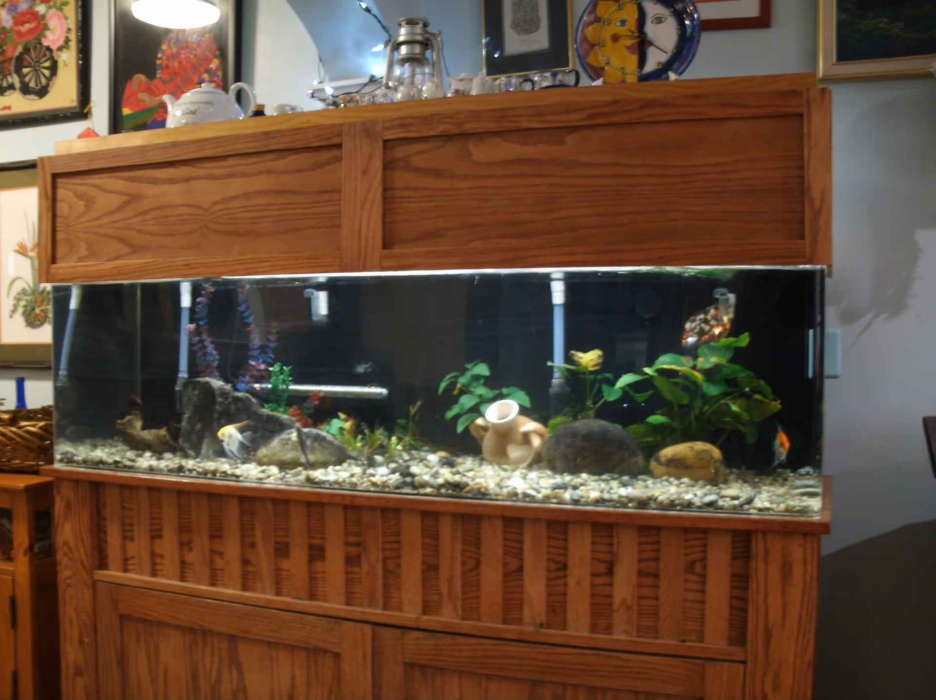 A large rectangular fish tank with various plants, rocks, and small fish inside. The tank is set in a wooden cabinet with a matching wooden top. Behind the tank, there are framed pictures and decorative items on the wall.