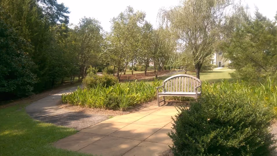 A peaceful outdoor garden area with a wooden bench on a paved section surrounded by green bushes and plants. A winding pathway leads through the garden with trees and grass in the background under a sunny sky.