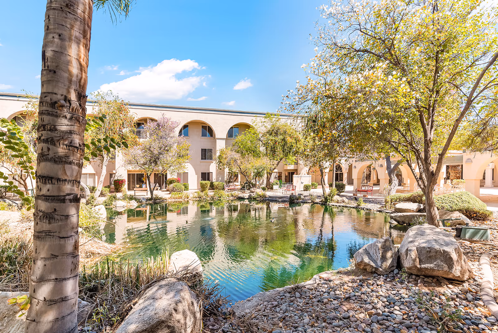A landscaped courtyard pond surrounded by rocks, trees, and benches with a three-story senior living building in the background.