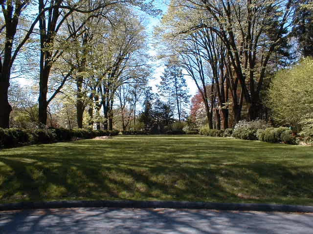 A well-maintained grassy lawn area bordered by tall trees with light filtering through the branches, creating a serene outdoor space.