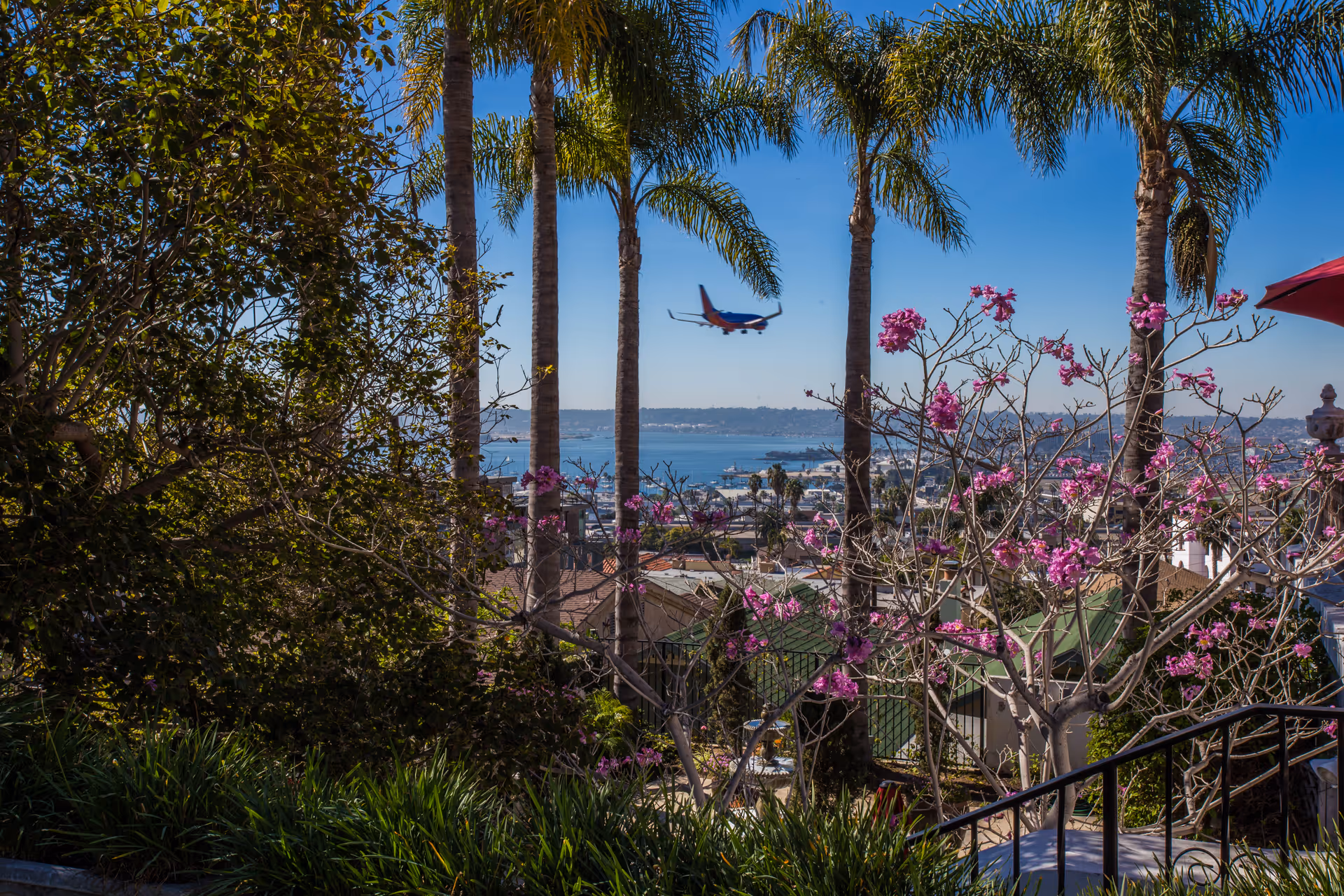 View through palm trees and flowering bushes overlooking a coastal cityscape with a body of water and an airplane flying in the clear blue sky.