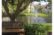 A peaceful outdoor scene featuring a wooden bench under a large tree next to a pond with a water fountain. In the background, there are multi-story residential buildings surrounded by green grass and landscaping.