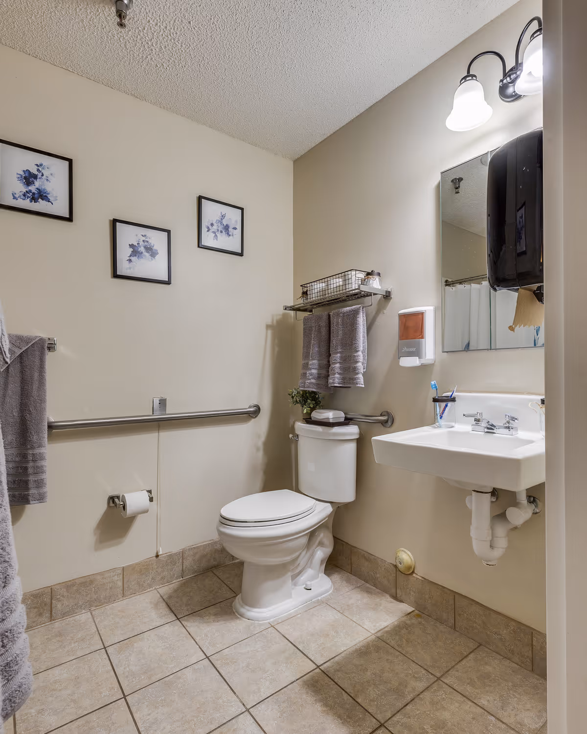 A clean and accessible bathroom with beige tiled floor and cream-colored walls. The room features a white toilet with a grab bar on the wall beside it, a white sink with a mirror above, and a wall-mounted soap dispenser. There are two gray towels hanging on a rack above the toilet and a small plant on the toilet tank. Three framed floral pictures are hung on the wall above the grab bar. The bathroom is well-lit with two wall-mounted lights above the mirror.