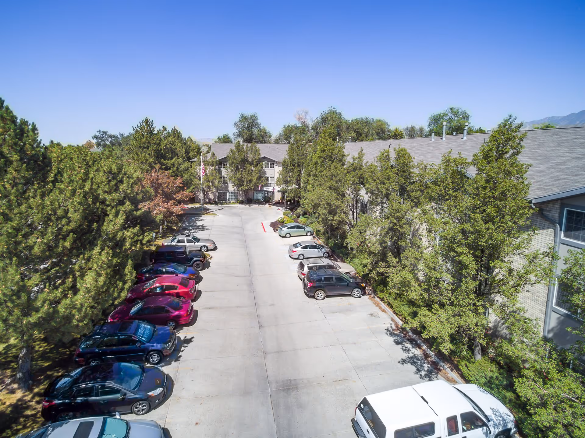 A parking lot with several parked cars on both sides, surrounded by trees and greenery. In the background, there is a multi-story building partially obscured by trees under a clear blue sky.