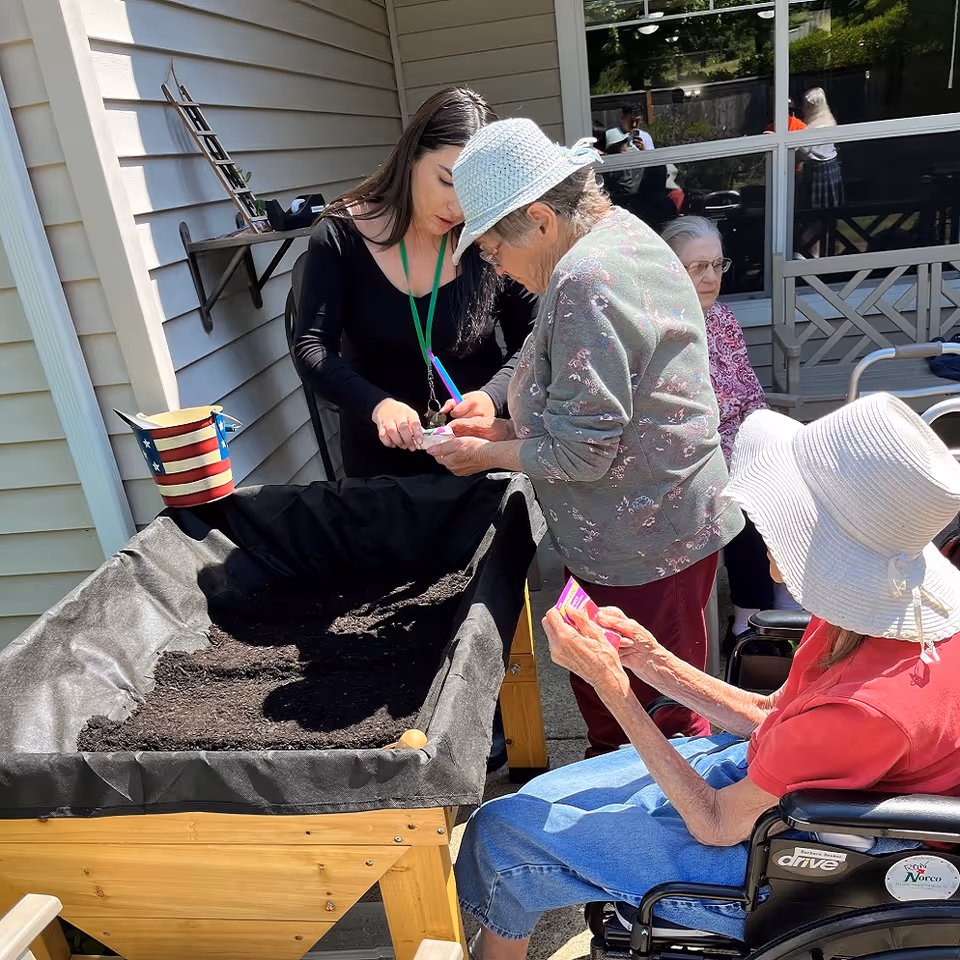 A young woman assists two elderly women with gardening activities at a raised garden bed filled with soil outside a building. One elderly woman is standing and wearing a light blue hat and floral sweater, while the other is seated in a wheelchair wearing a white sunhat and red shirt. Another elderly woman is seated in the background near a window.