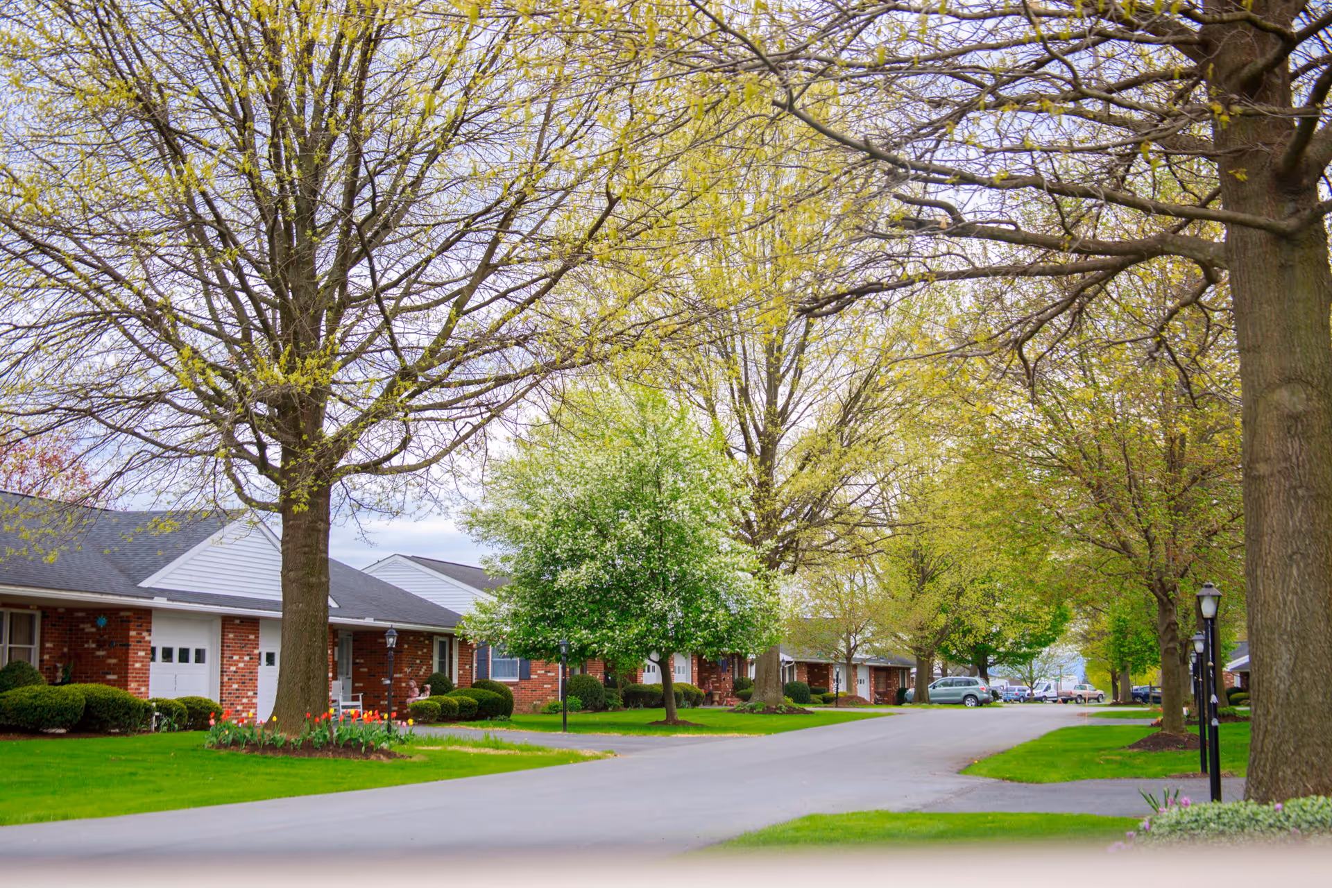 A peaceful residential street in a retirement community with brick single-story homes, well-maintained lawns, blooming trees, and a paved road winding through the neighborhood.