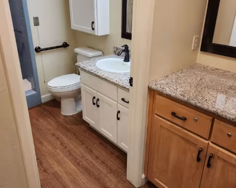 Small bathroom with a toilet, white vanity with a granite countertop and sink, wall cabinet, mirror, and wood-look flooring.