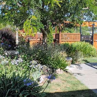 Well-kept garden with trees, flowering plants, and a paved walkway outside a fence.
