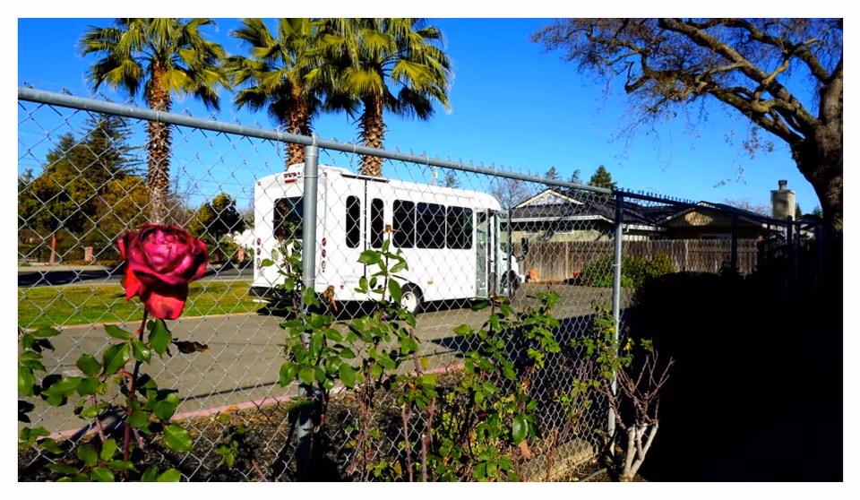 A white shuttle bus parked on a driveway behind a chain-link fence with green plants and a single red rose in the foreground. Palm trees and a clear blue sky are visible in the background.