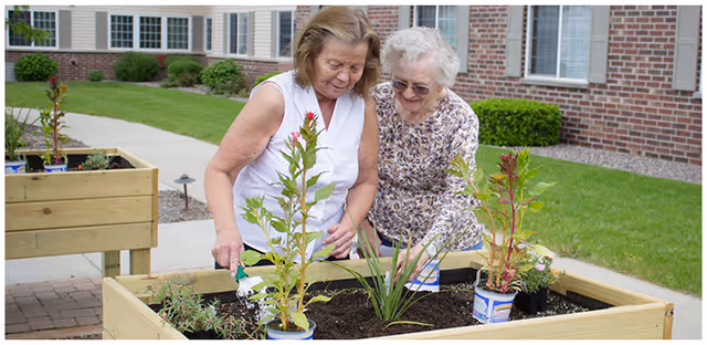 Two elderly women gardening together in a raised wooden planter outside a brick building with windows and green lawn.
