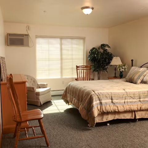 A sunlit bedroom with a made bed, wooden chairs, a dresser, armchair, potted plant, and a window with blinds.
