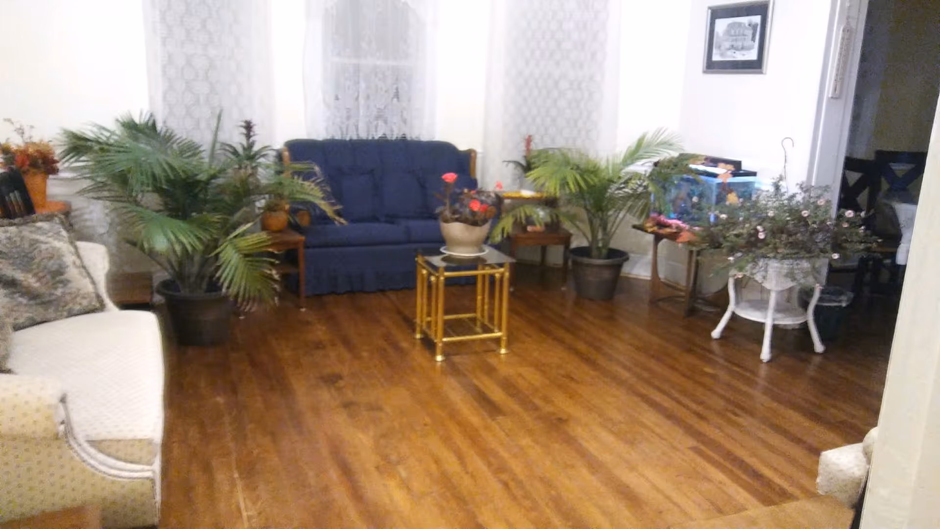 A cozy living room with wooden flooring, featuring a blue sofa against the back wall, a white armchair on the left, several potted plants, a small glass-top coffee table with a flower pot, and a fish tank on a side table near the right wall.