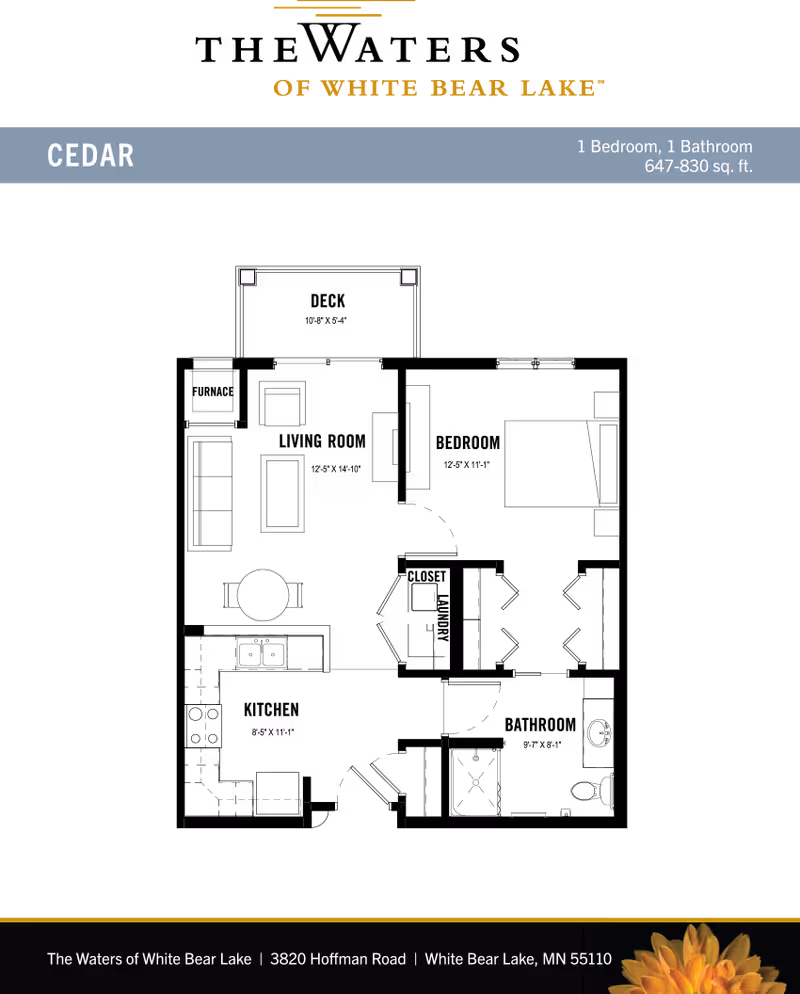 Black-background floor plan labeled 'CEDAR' showing a one-bedroom, one-bath apartment layout with facility name and address at the bottom.