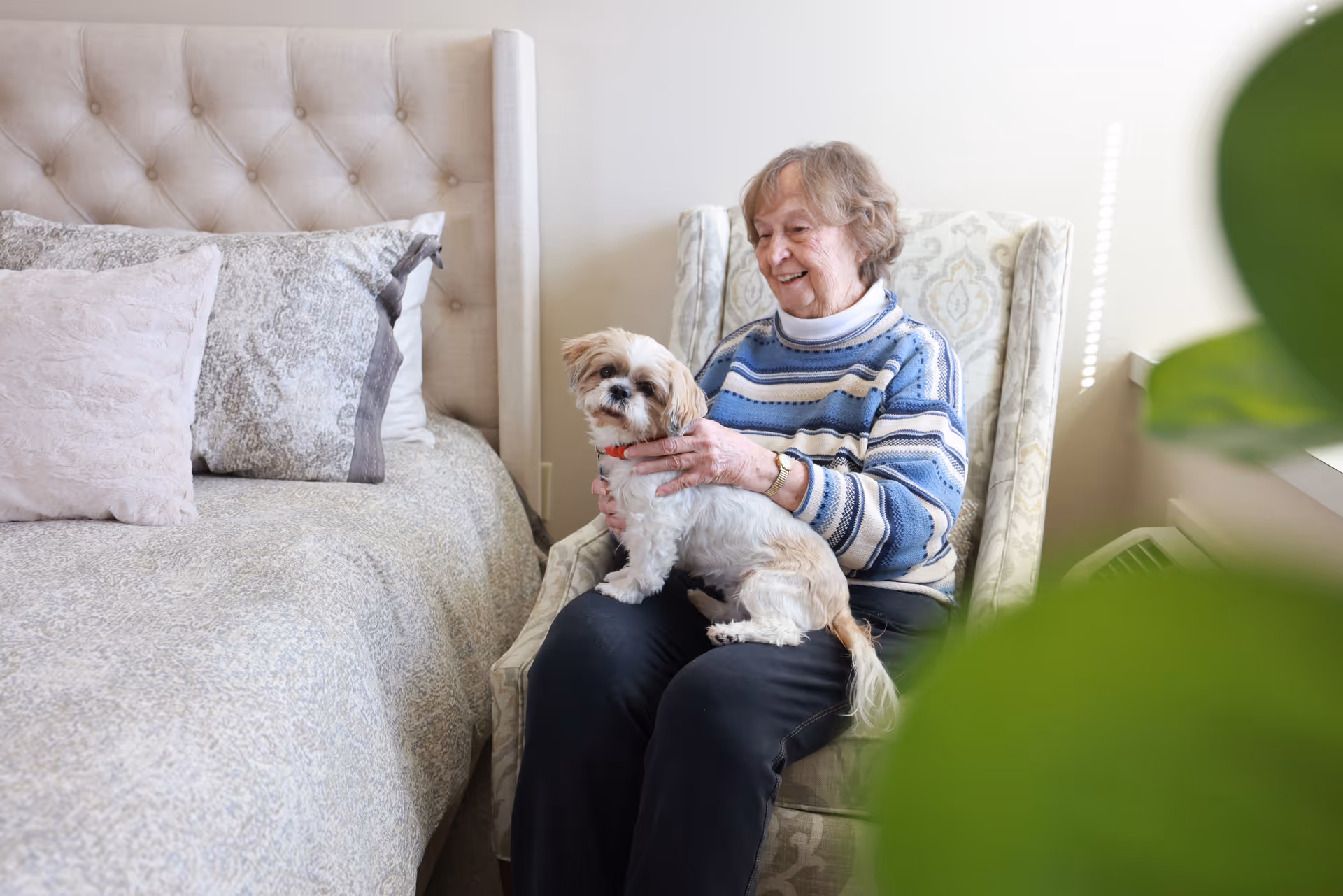 An elderly woman sitting in a patterned armchair next to a bed with decorative pillows, holding a small dog on her lap and smiling. The room is softly lit with natural light coming from a window, and there is a green plant partially visible in the foreground.