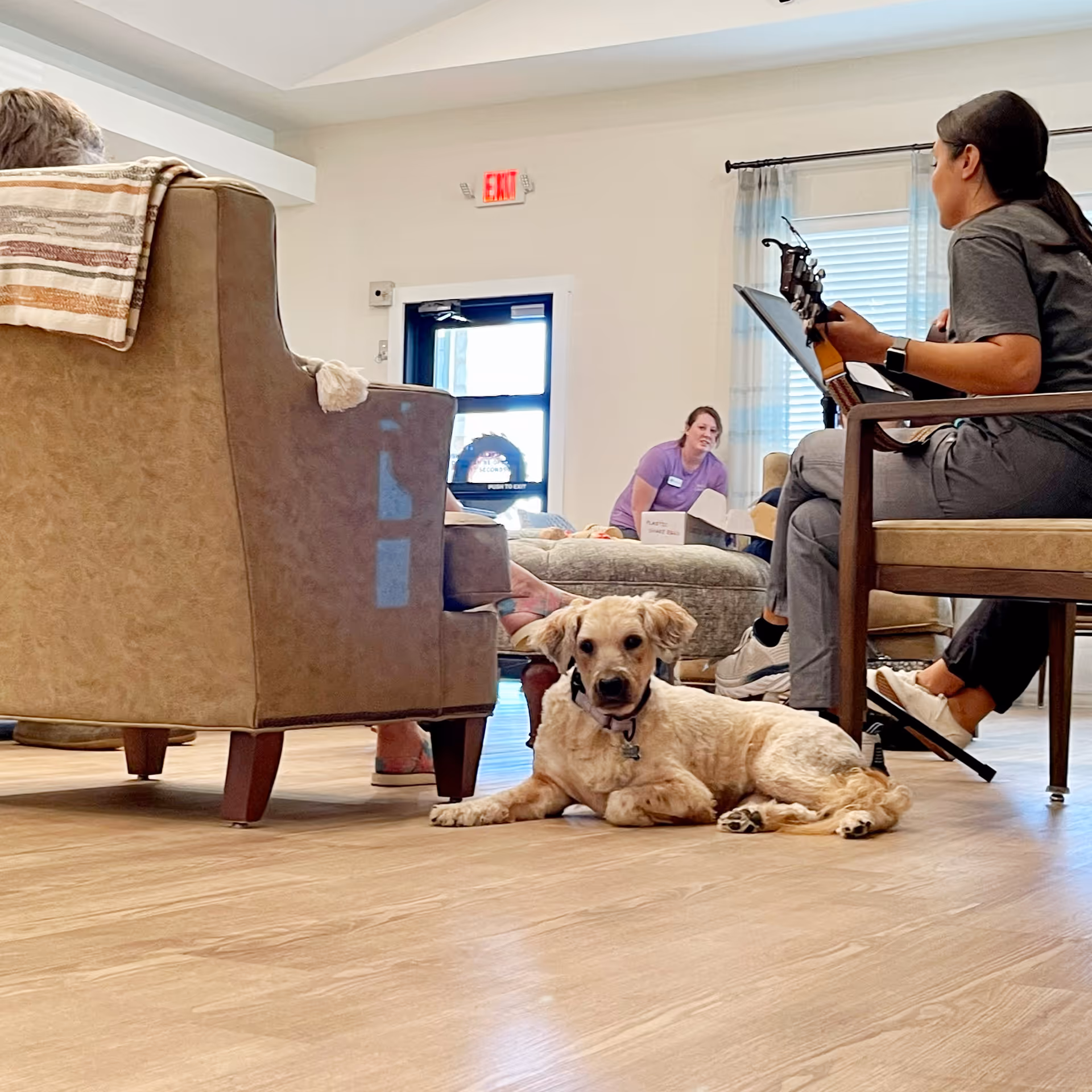 A small dog lying on a wooden floor in a living room area of a senior living facility. Two people are seated nearby, one playing a guitar and the other sitting on a couch. The room has light-colored walls, a window with sheer curtains, and an exit door in the background.