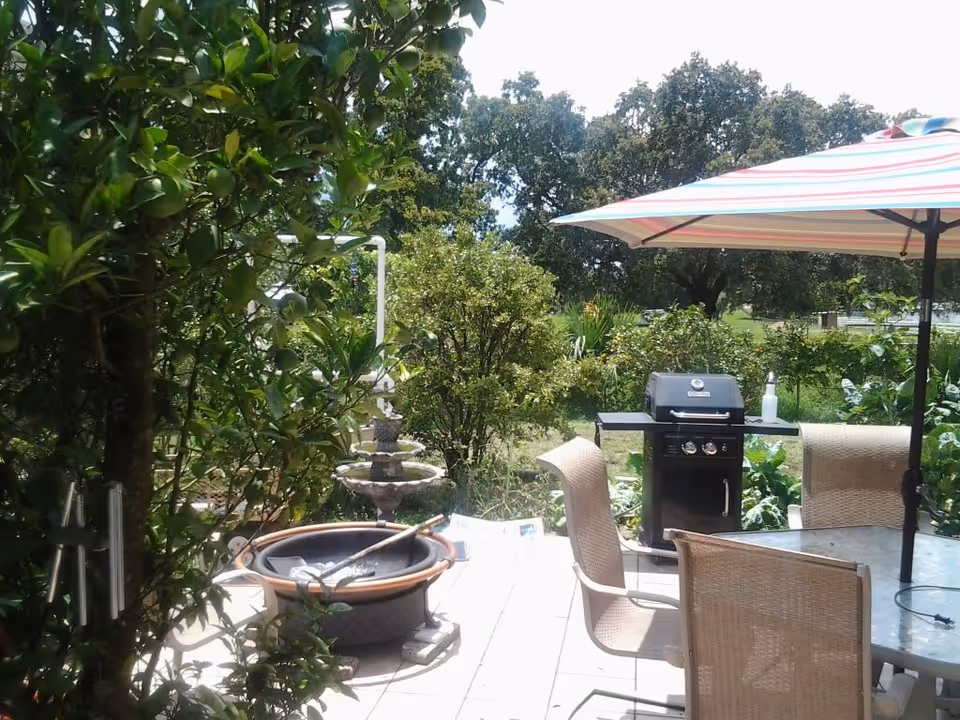 Outdoor patio area with a fire pit, a glass-top table with four wicker chairs, a striped umbrella providing shade, a black grill, and lush green trees and bushes surrounding the space.
