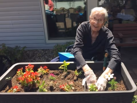 An elderly person wearing glasses and gloves is gardening in a raised planter box filled with soil and various small flowering plants. They are outdoors near a building with a window and a bench visible in the background.