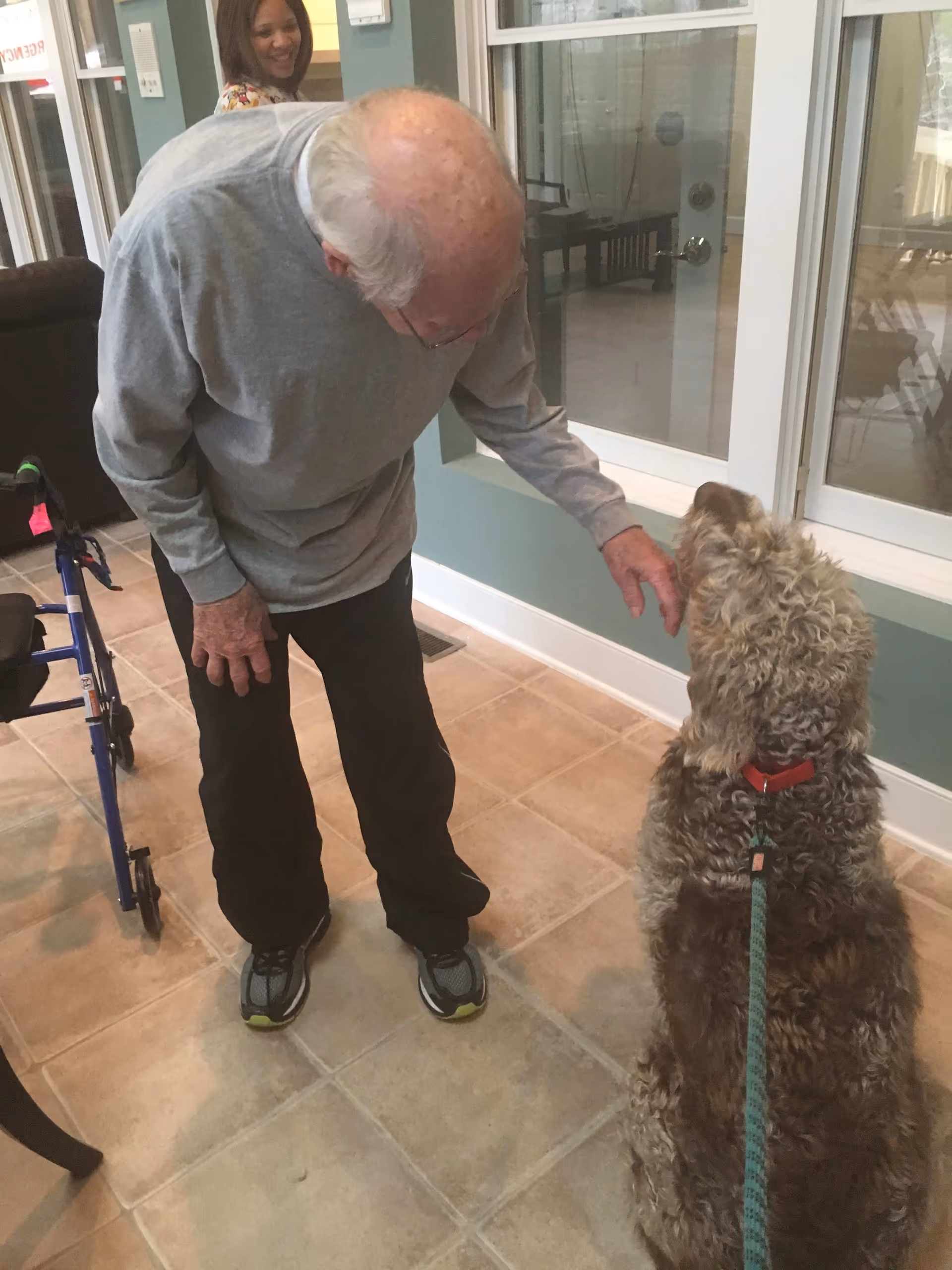 An elderly man wearing a gray long-sleeve shirt and black pants is bending down to pet a large curly-haired dog with a red collar and green leash indoors. A woman in a floral top is smiling in the background near a window and door. A blue walker is visible to the left.
