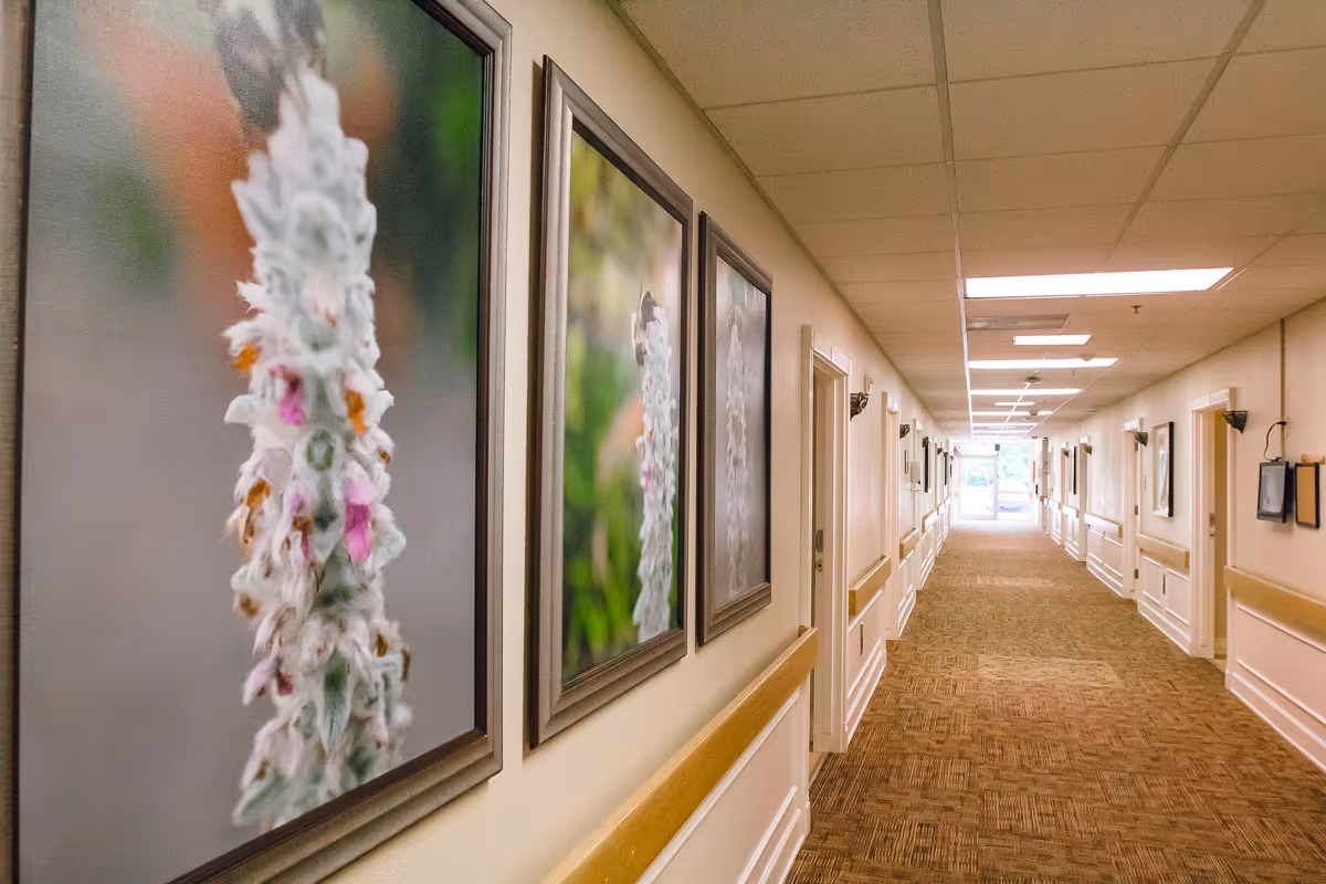A long, well-lit hallway in a nursing facility with framed close-up photos of flowers on the left wall. The hallway has beige walls with wooden handrails and a patterned carpet floor. Several doors line the hallway on both sides, and there is a bright exit or window at the far end.