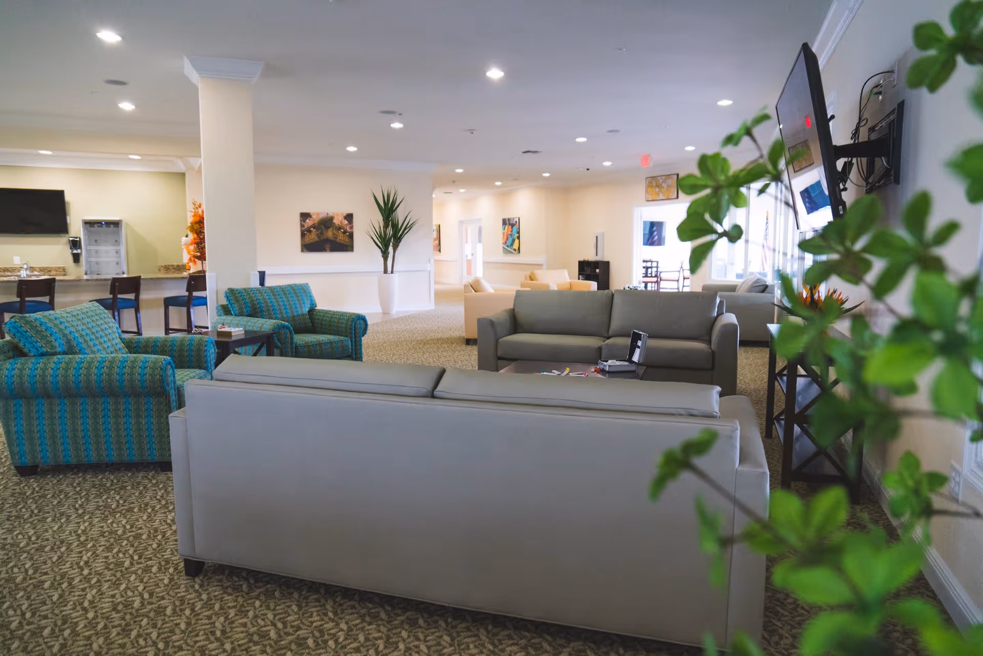 A spacious senior living facility common area with multiple seating arrangements including gray sofas and blue patterned armchairs. The room is well-lit with recessed ceiling lights and decorated with plants and artwork on the walls. A television is mounted on the right wall, and a counter with bar stools is visible in the background.