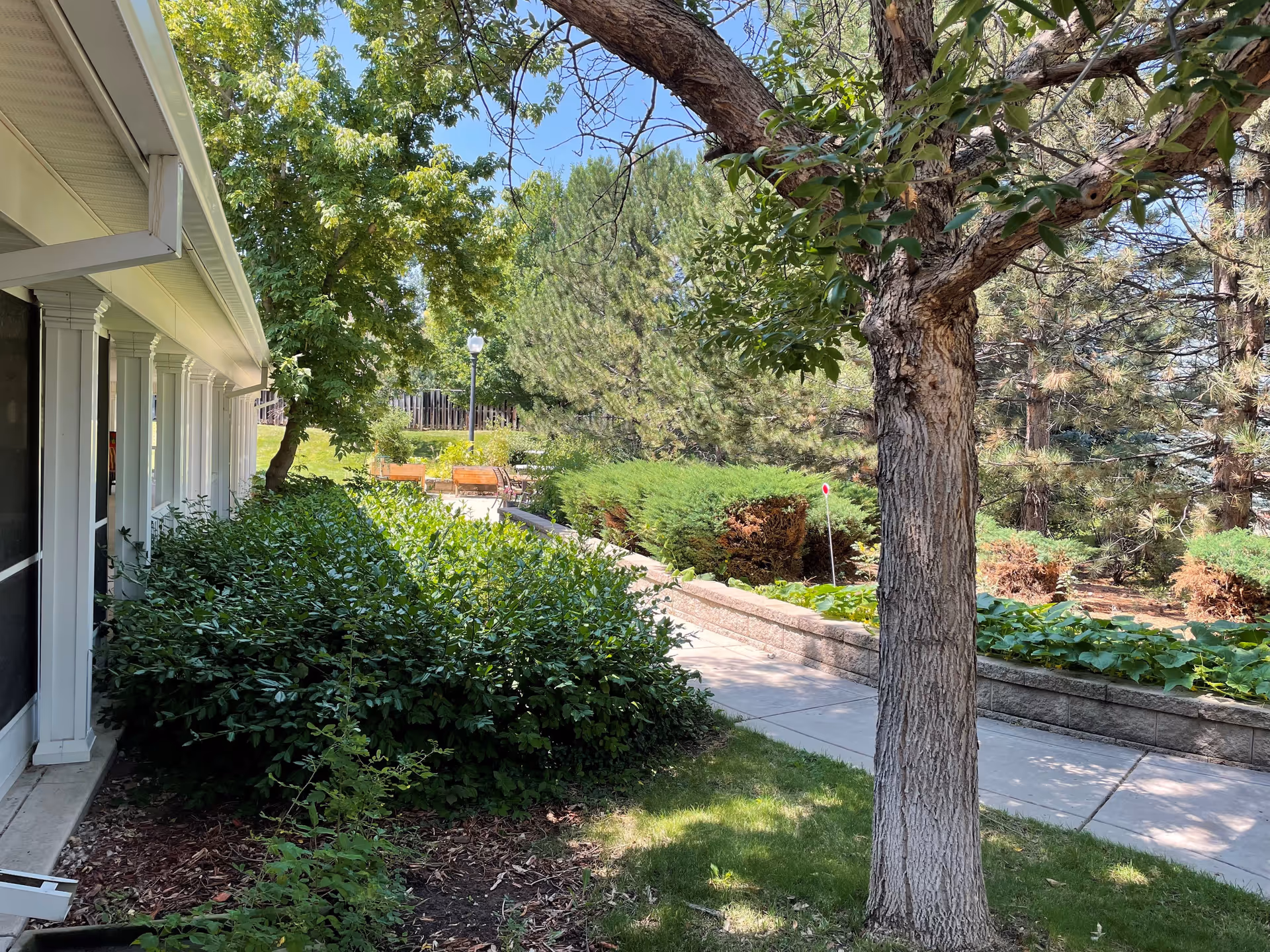 Outdoor garden area at The Village of Bear Creek with a concrete walkway, green bushes, trees, and a building with white columns on the left side. There are benches and a lamp post visible in the background under a clear blue sky.