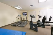 A small fitness room with two treadmills, two stationary bikes, and a blue exercise mat on the floor. A television is mounted on the wall in front of the treadmills. The room has beige walls and carpeted flooring with fluorescent ceiling lights.