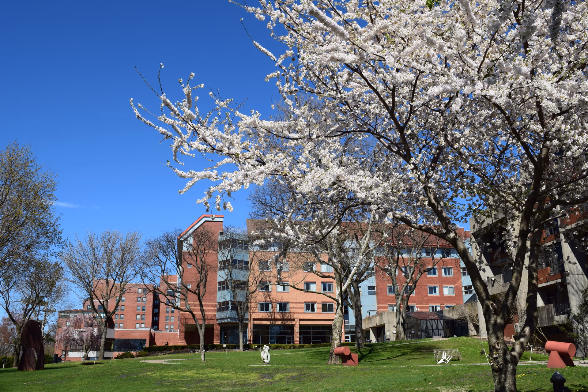 A large multi-story brick building with many windows, surrounded by green grass and trees, some of which have white blossoms. The sky is clear and blue, and there are benches and sculptures on the lawn in front of the building.