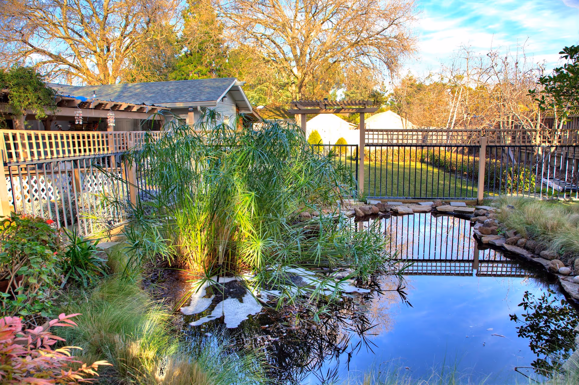 A serene outdoor garden area featuring a small pond surrounded by rocks and lush greenery. In the background, there is a fenced grassy yard with trees and a small building with a sloped roof. The scene is bathed in natural sunlight.
