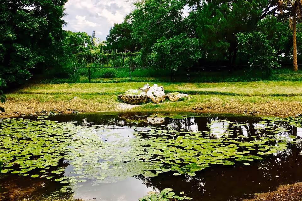A small pond covered with green lily pads surrounded by grass and trees under a partly cloudy sky.