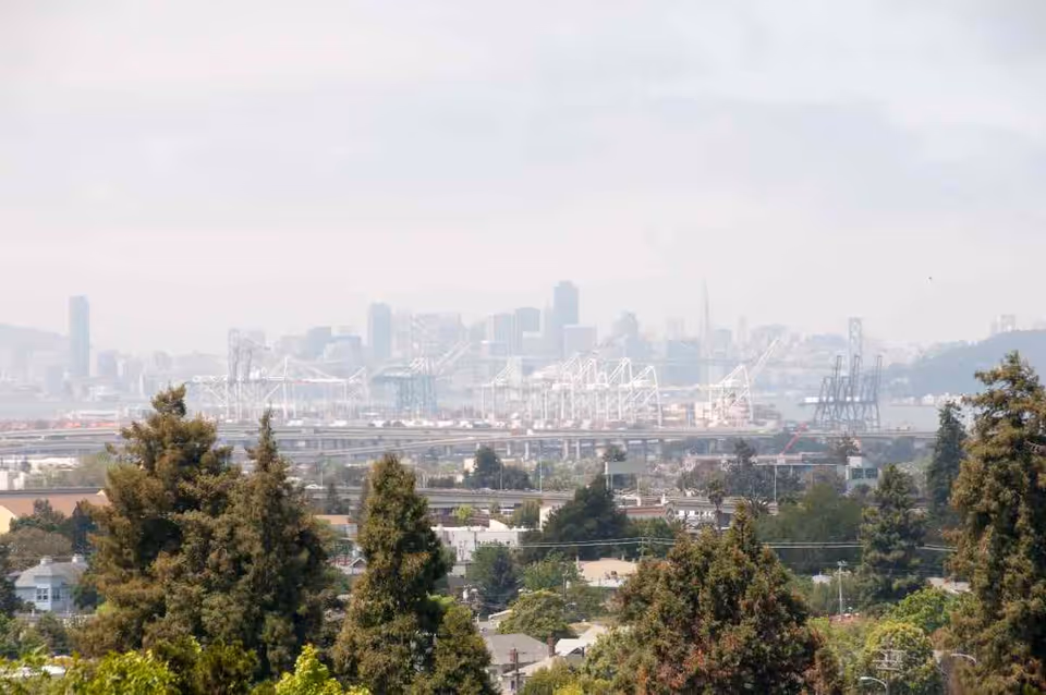 View of a city skyline and port with cranes and bridges seen beyond trees and residential rooftops.