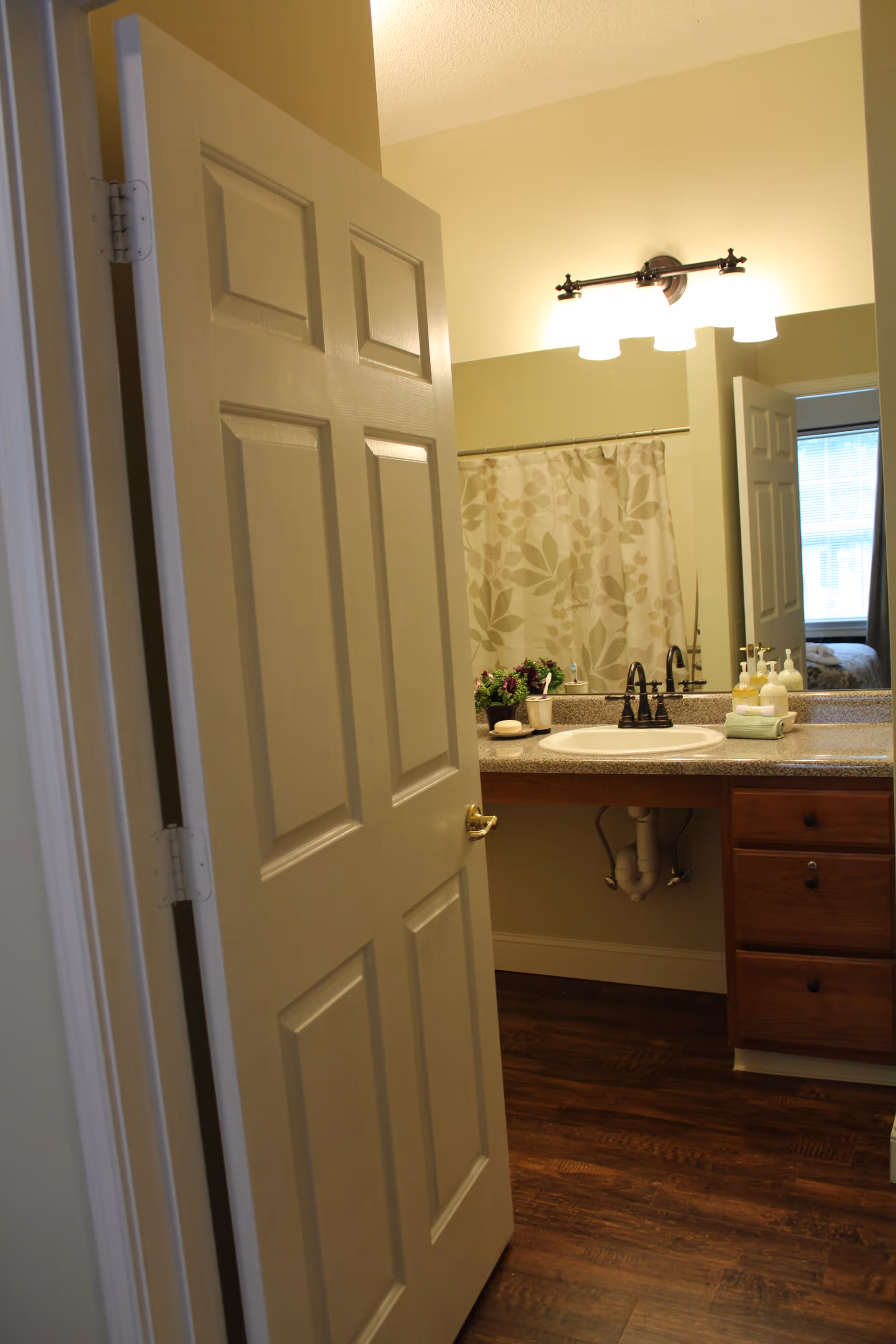 View into a bathroom with a partially open door. Inside, there is a sink with a granite countertop, a mirror above it, and a light fixture with three lights. To the right of the sink are wooden cabinets. A shower curtain with a leaf pattern is visible in the background. The floor is made of dark wood.