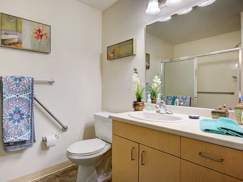 A clean and well-lit bathroom featuring a toilet, a wooden vanity with a sink, a large mirror above the sink, and a shower with sliding glass doors. The bathroom has a towel rack with a patterned towel, a grab bar near the toilet, decorative artwork on the walls, and a small plant on the vanity.