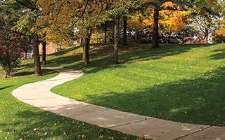 A winding concrete pathway through a grassy area with trees showing autumn foliage in shades of green, yellow, and orange.