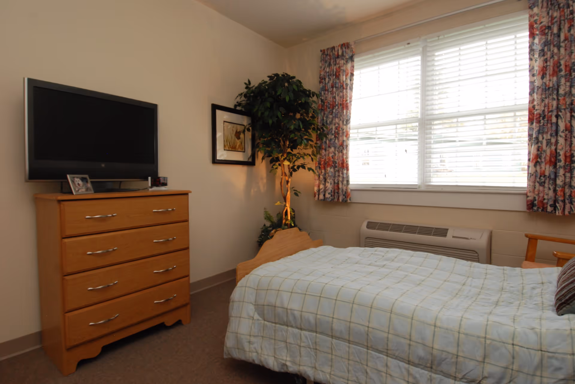 A small bedroom in an assisted living facility with a single bed covered in a light-colored checkered blanket. There is a wooden dresser with a flat-screen TV on top, a framed picture on the wall, a potted plant in the corner, and a window with floral curtains letting in natural light.