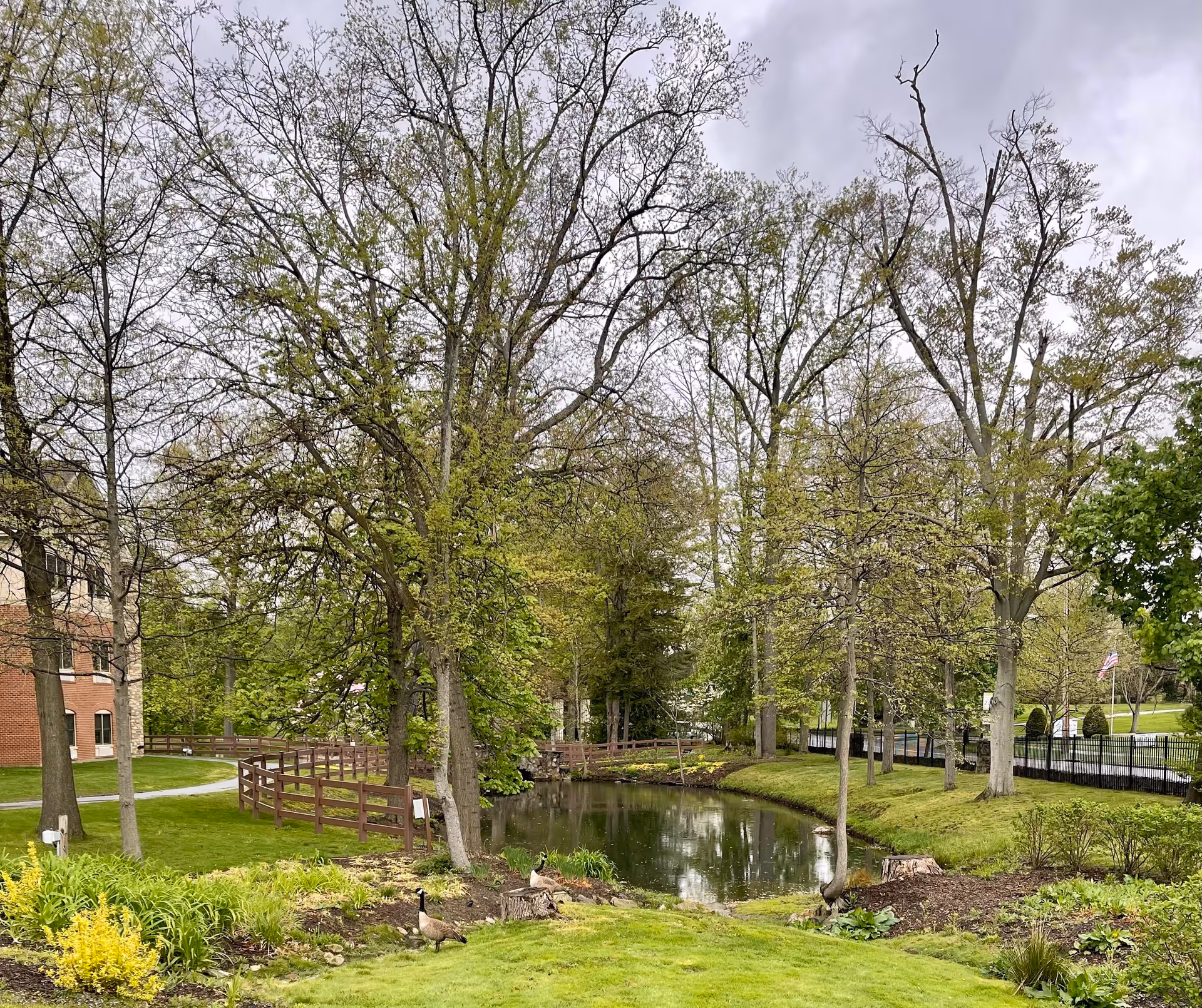 A peaceful outdoor scene at Ohio Living Rockynol featuring a small pond surrounded by green grass, trees with budding leaves, and a wooden fence. There are a few geese near the pond, and a brick building is partially visible on the left side. The sky is overcast.