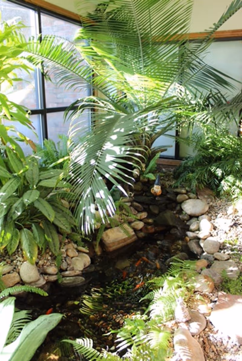 Indoor garden area with a small pond filled with fish, surrounded by various green plants and rocks, next to large windows letting in natural light.